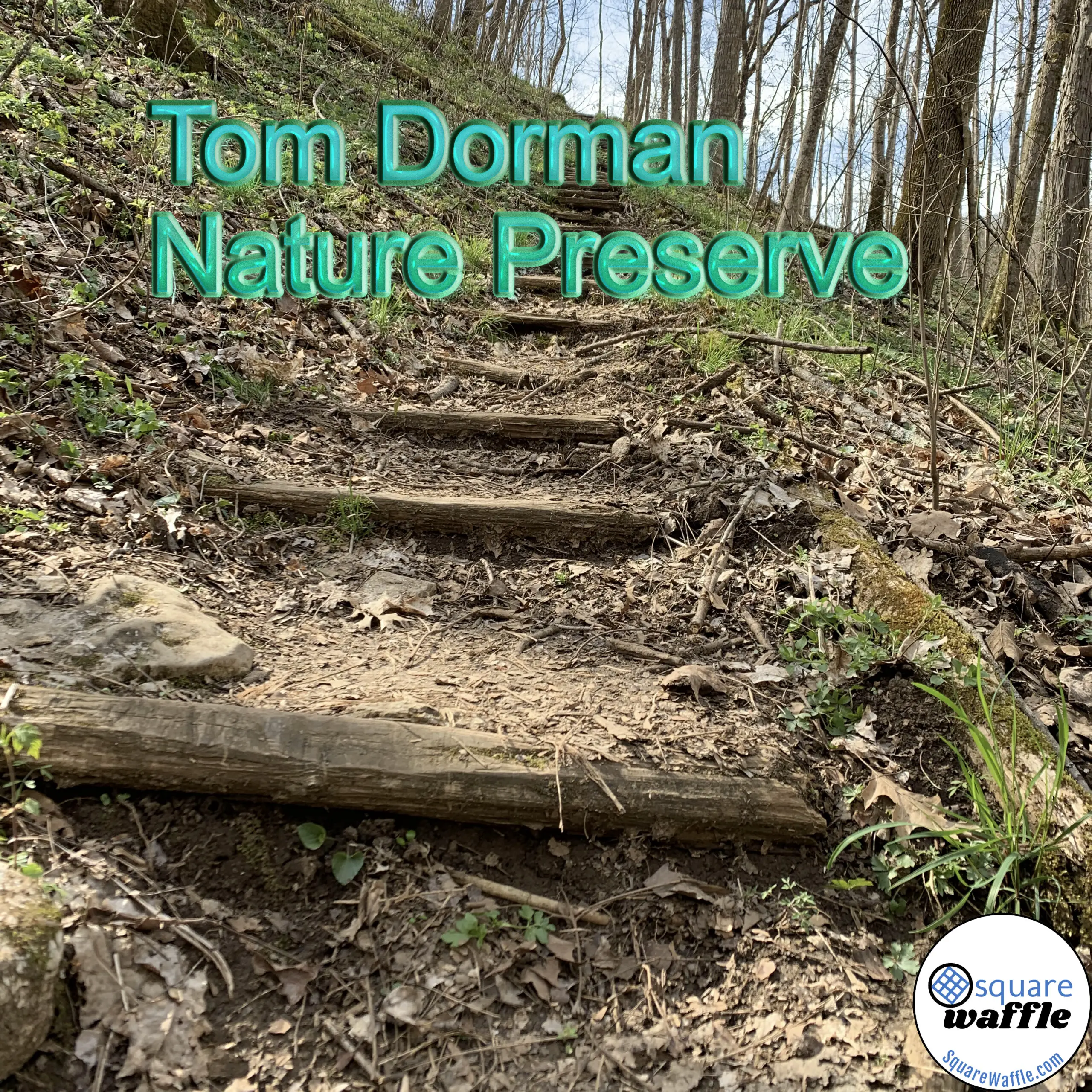 Tom Dorman Nature Preserve
